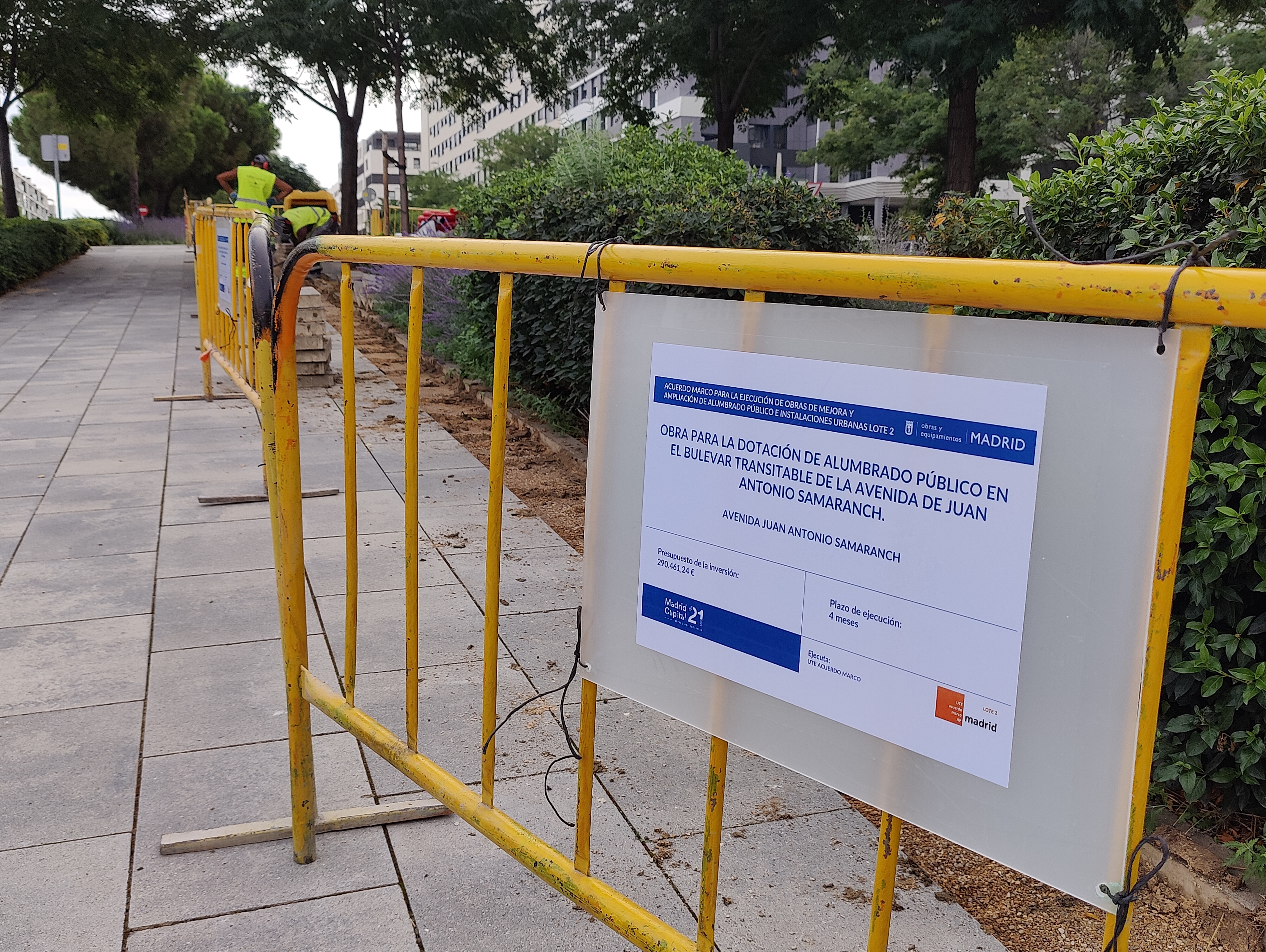 Obras proyecto alumbrado público en avenida Juan Antonio Samaranch
